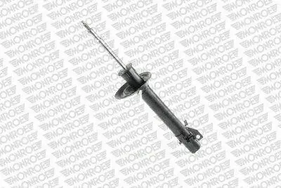 Suspension Strut (V4513)
