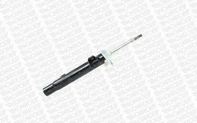 Suspension Strut (742005SP)