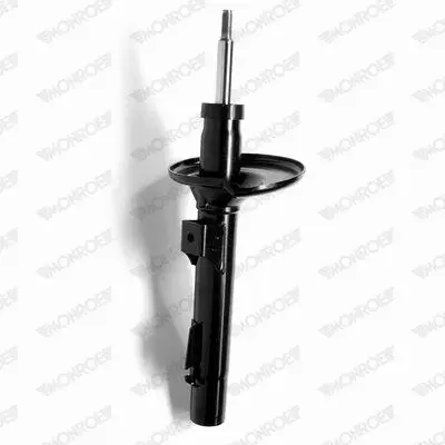 Shock Absorber (R11172)