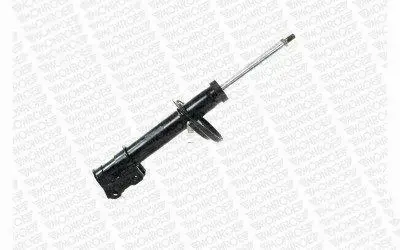 Suspension Strut (742185SP)