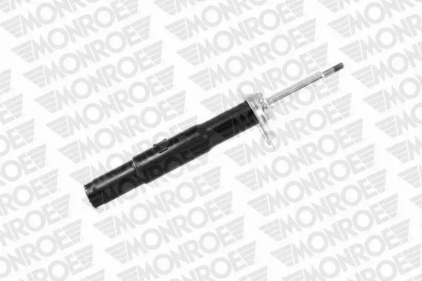Suspension Strut (742017SP)