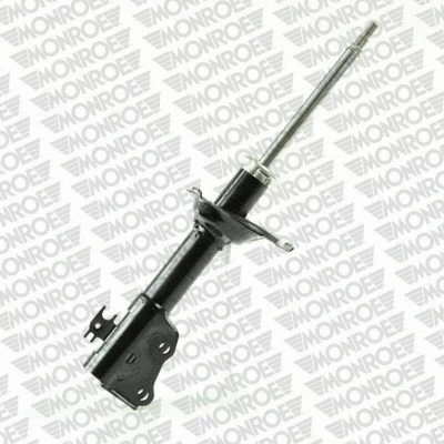 Suspension Strut (G16289)