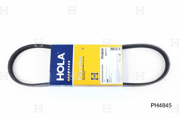 V-Ribbed Belt (PH4845)