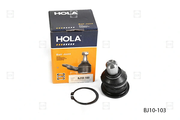 Ball Joint (BJ10-103)