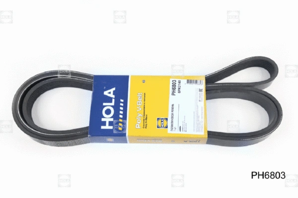V-Ribbed Belt (PH6803)
