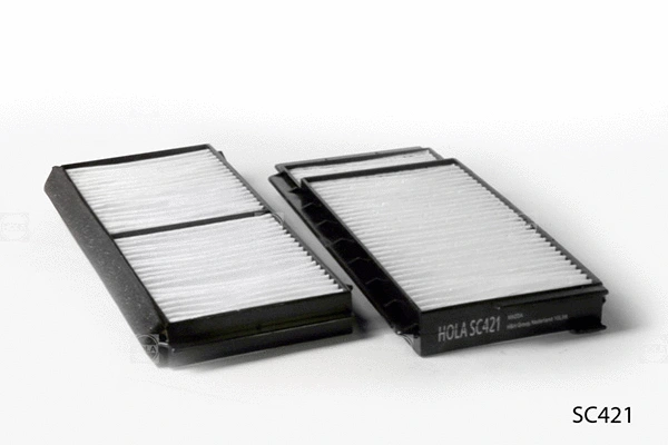 Filter, cabin air (SC421)
