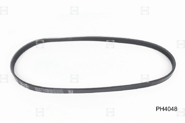 V-Ribbed Belt