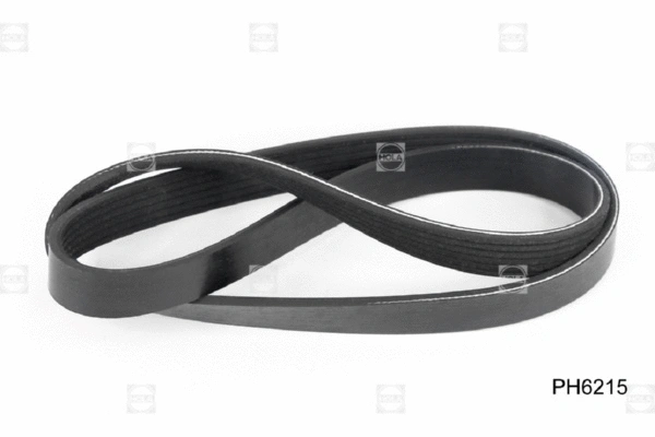 V-Ribbed Belt