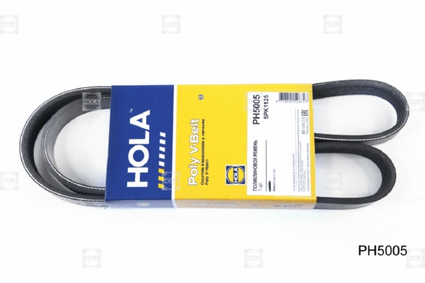 V-Ribbed Belt (PH5005)