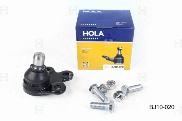 Ball Joint (BJ10-020)