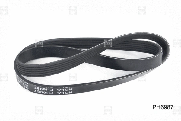 V-Ribbed Belt