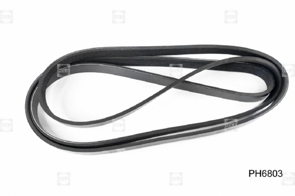 V-Ribbed Belt