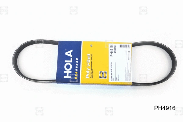 V-Ribbed Belt (PH4916)