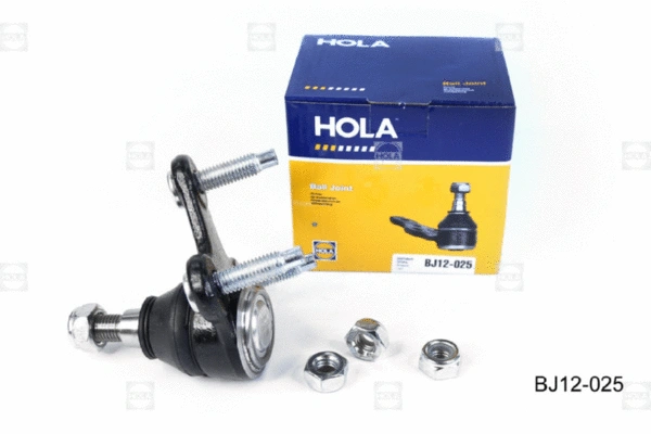 Ball Joint (BJ12-025)