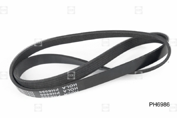 V-Ribbed Belt