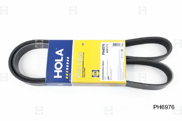 V-Ribbed Belt (PH6976)
