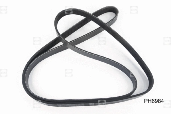 V-Ribbed Belt