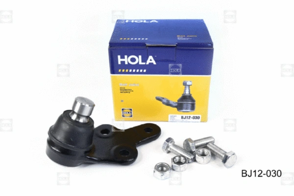 Ball Joint (BJ12-030)