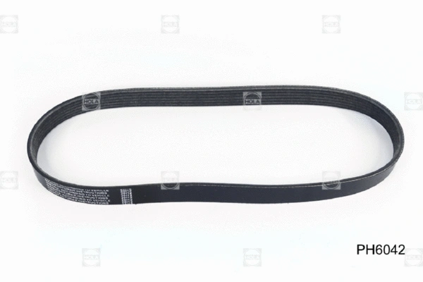 V-Ribbed Belt