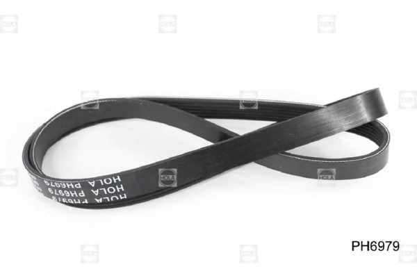 V-Ribbed Belt