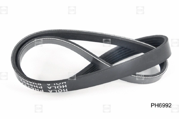 V-Ribbed Belt