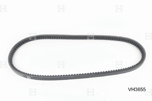 V-Belt