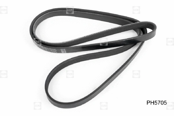 V-Ribbed Belt
