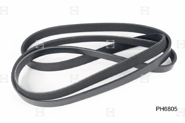 V-Ribbed Belt