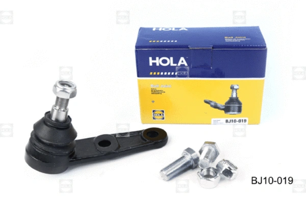 Ball Joint (BJ10-019)