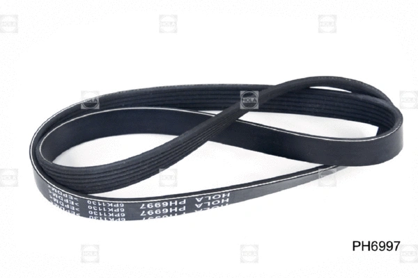 V-Ribbed Belt