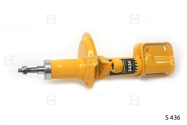 Shock Absorber (S436)
