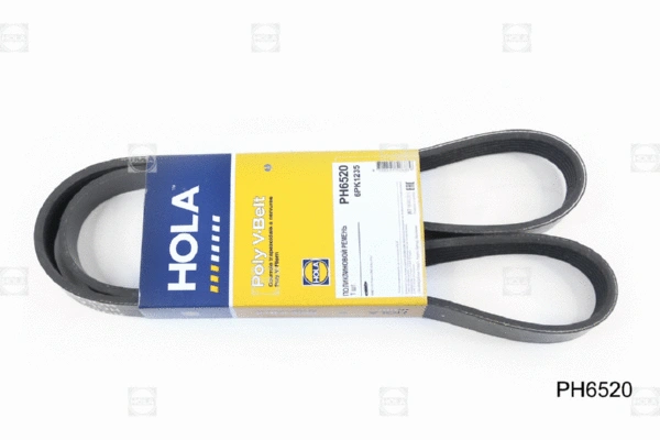 V-Ribbed Belt (PH6520)