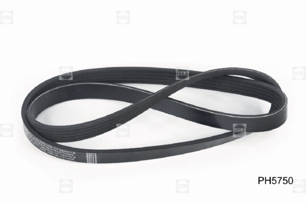 V-Ribbed Belt