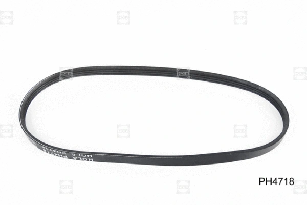 V-Ribbed Belt