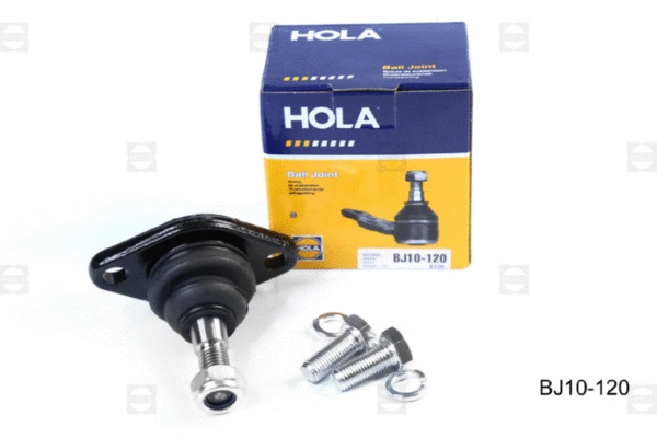 Tie Rod End (BJ10-120)
