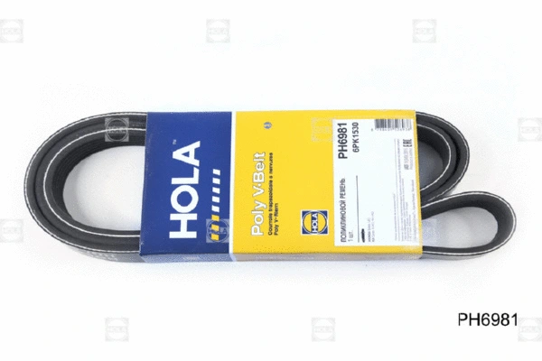 V-Ribbed Belt (PH6981)