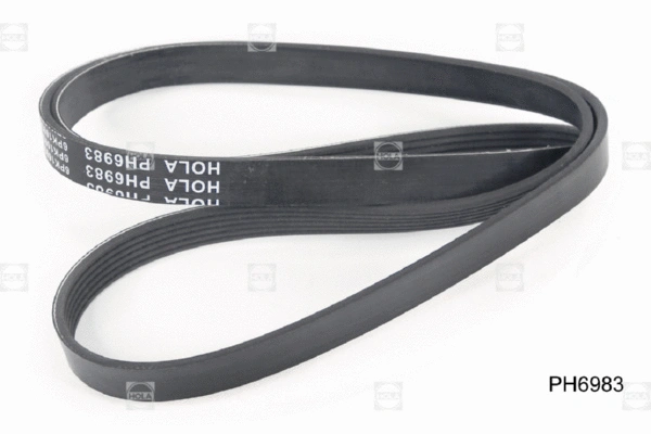 V-Ribbed Belt