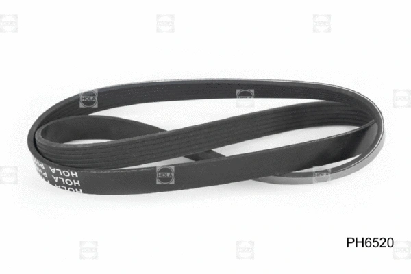 V-Ribbed Belt