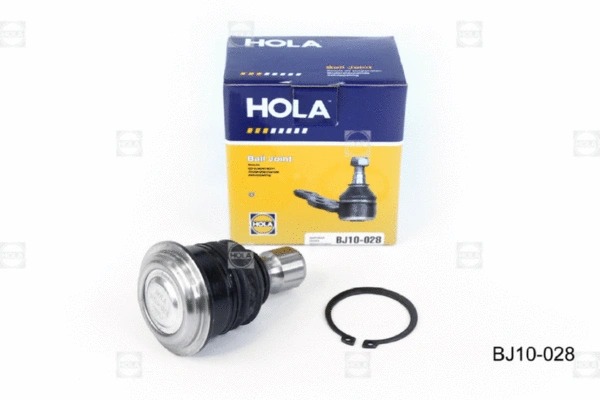 Ball Joint (BJ10-028)