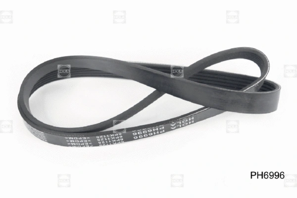 V-Ribbed Belt