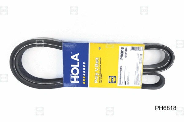 V-Ribbed Belt (PH6818)