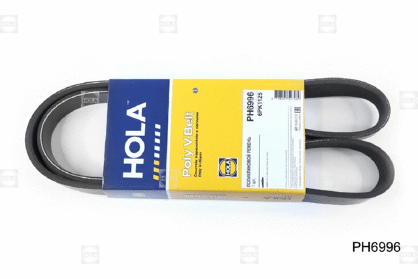 V-Ribbed Belt (PH6996)