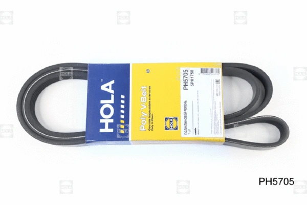 V-Ribbed Belt (PH5705)