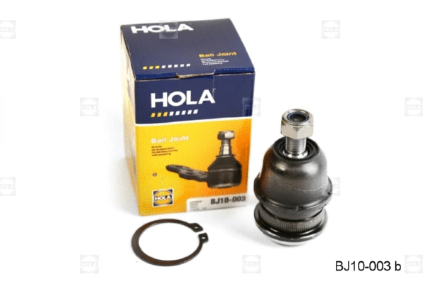 Ball Joint (BJ10-003)