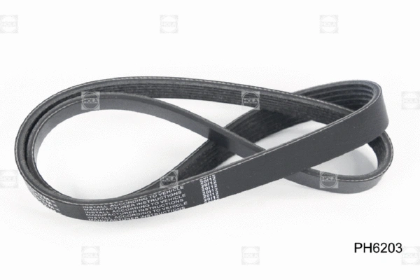 V-Ribbed Belt