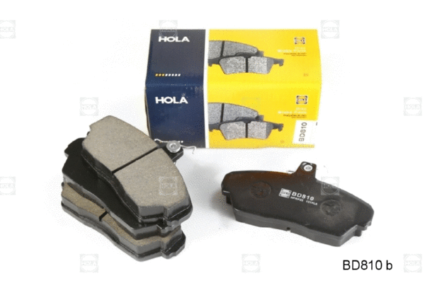 Brake Pad Set, disc brake (BD810)