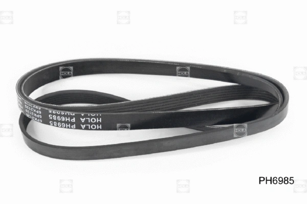 V-Ribbed Belt