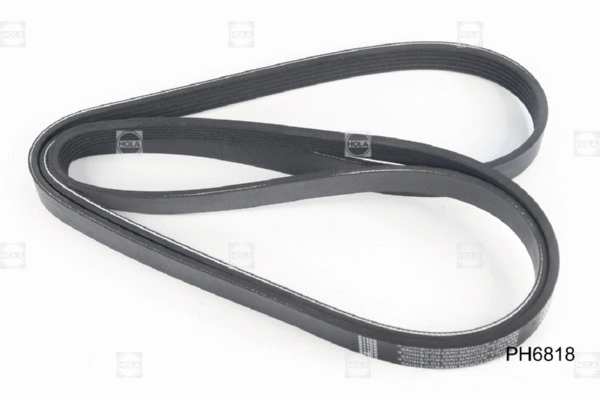 V-Ribbed Belt