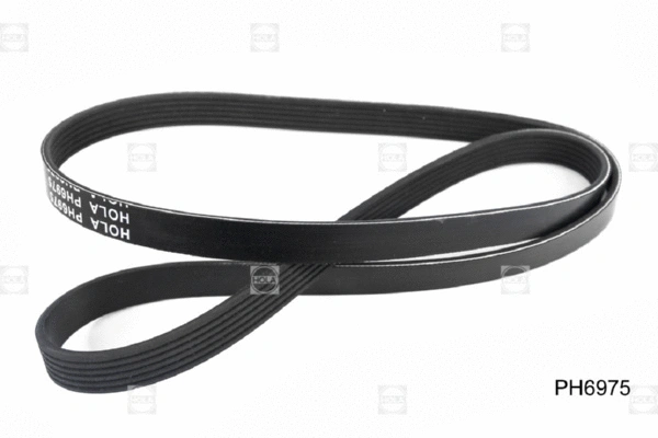 V-Ribbed Belt