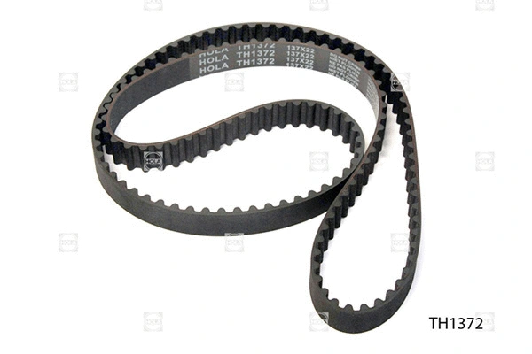 Timing Belt (TH1372)